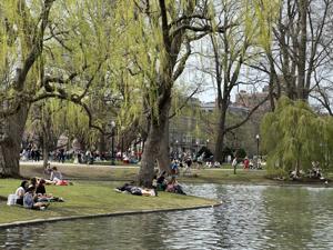 Boston Ma   Public Park (3)